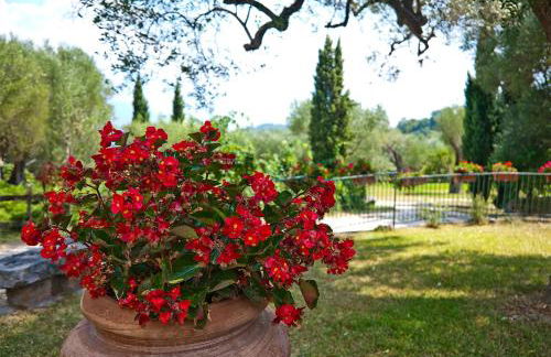 Pie' d'Ulivo - Foto 89