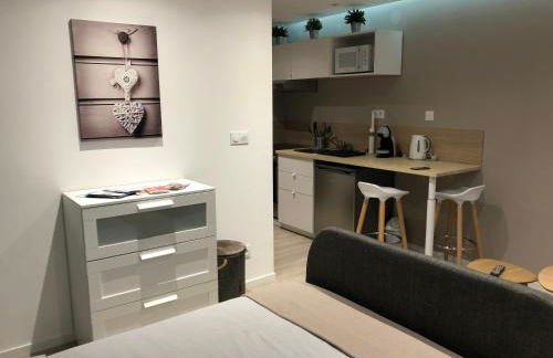 Le Green Cocoon au dessus du vignoble Alsacien - Foto 13