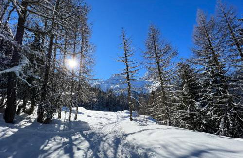 Chalet Altus - Foto 70