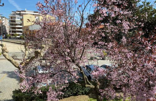 Apartamento Dacosta - Foto 16