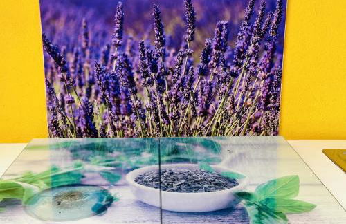 Ferienwohnungen Bachblick - Foto 37