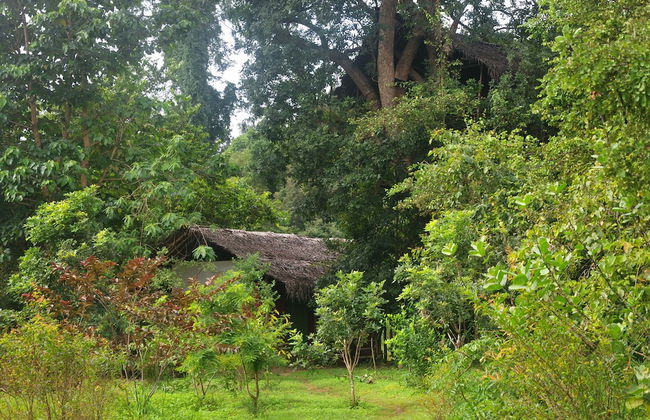 Back of Beyond - Dehigaha Ela - Photo 17