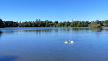 Duncan's Cottage at Royal Hillsborough - Foto 3