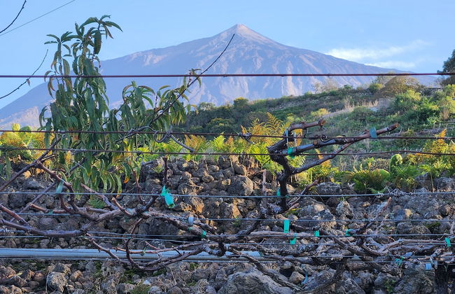 Casa Salvia - Rural Holiday Home - Foto 40