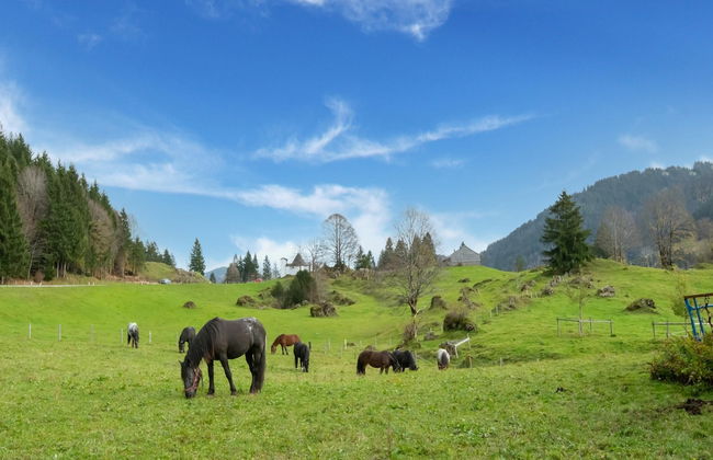 Picturesque Studio in Sibratsgfall With Garden - Photo 21