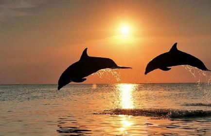 Spacious Beach House Unit,Beautifully Furnished 2 Bed 2Bath./2Min.Walk To Beach - Foto 21