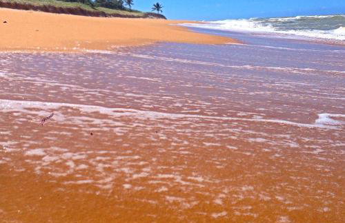 Casa da Gameleira - Foto 42