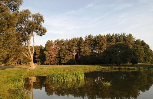 Smocze Ranczo - Foto 46