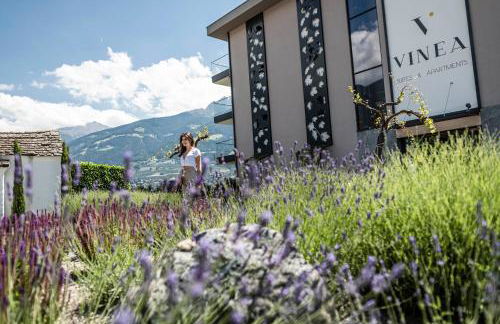 Vinea - Suites & Apartments - Foto 18