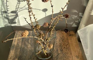 NATURA APARTAMENTY Era - Photo 28