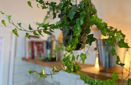 Charming appartement in the heart of Barcelona - Photo 18