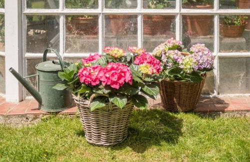 Altes Forstamt im Teutoburger Wald-Fewo Hofgarten - Foto 39