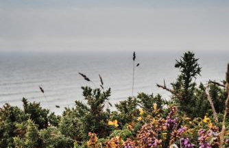 Number Seven - Foto 58