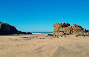 2 Rosemullion - Photo 14