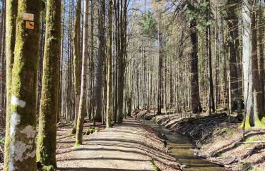 Ferienwohnung 37 Sonnenwald - Foto 51