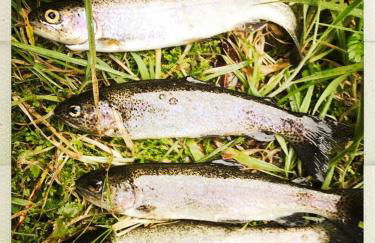 Village peacefull house - Photo 71