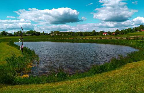 Domek u Mariusza - Foto 16