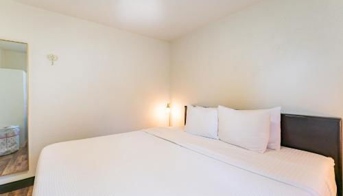 Green Sparrow's Nest - Foto 5