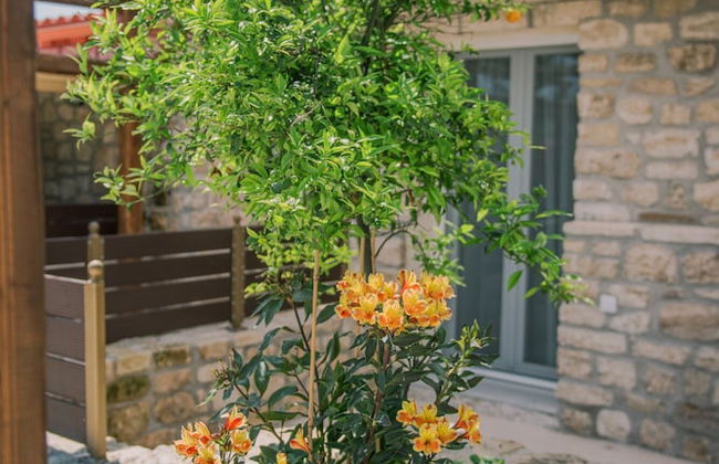 Acrocorinth Apartments - Foto 66