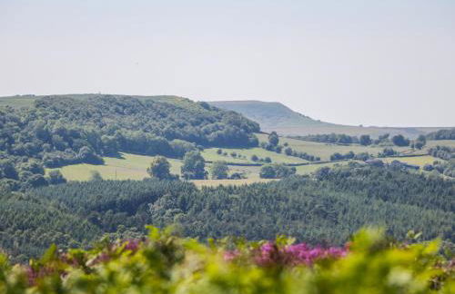 Chestnut Cottage - Foto 13