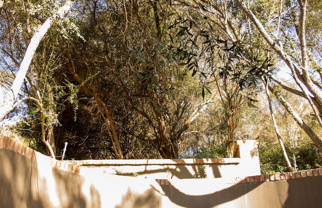 Botlierskop Bush Villas - Photo 43