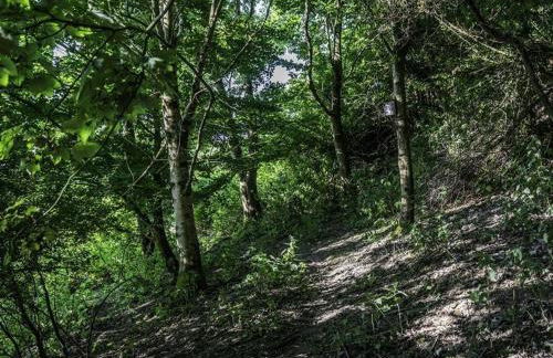 Valley View Farm Annexe - Foto 15