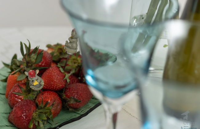 Mina Apartment - Foto 26