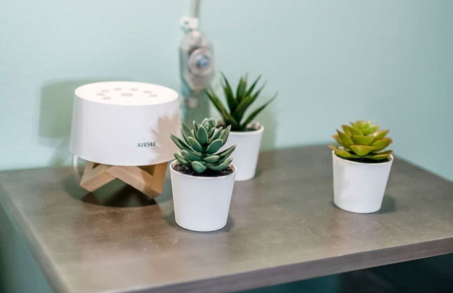 100 Year-old Historic Brick 2BR Loft Large Patio2 - Foto 36