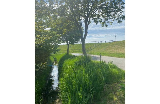 Home Port Modern Retreat - Foto 14