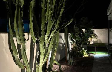 Villa Cactae - Foto 59