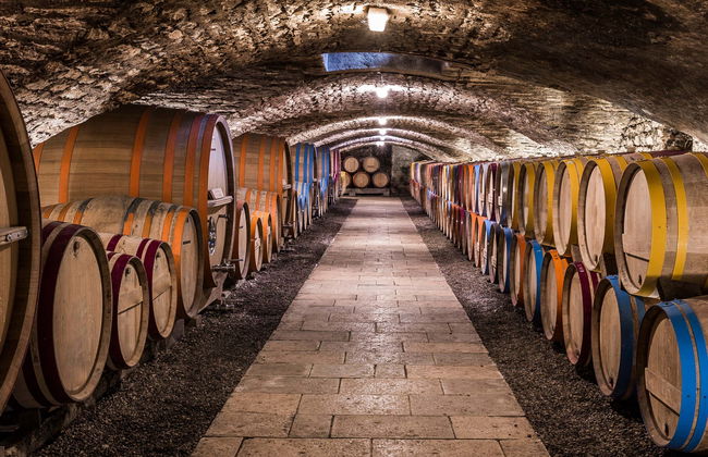 Tour de viñedos y bodegas por el Valle del Duero - Foto 1