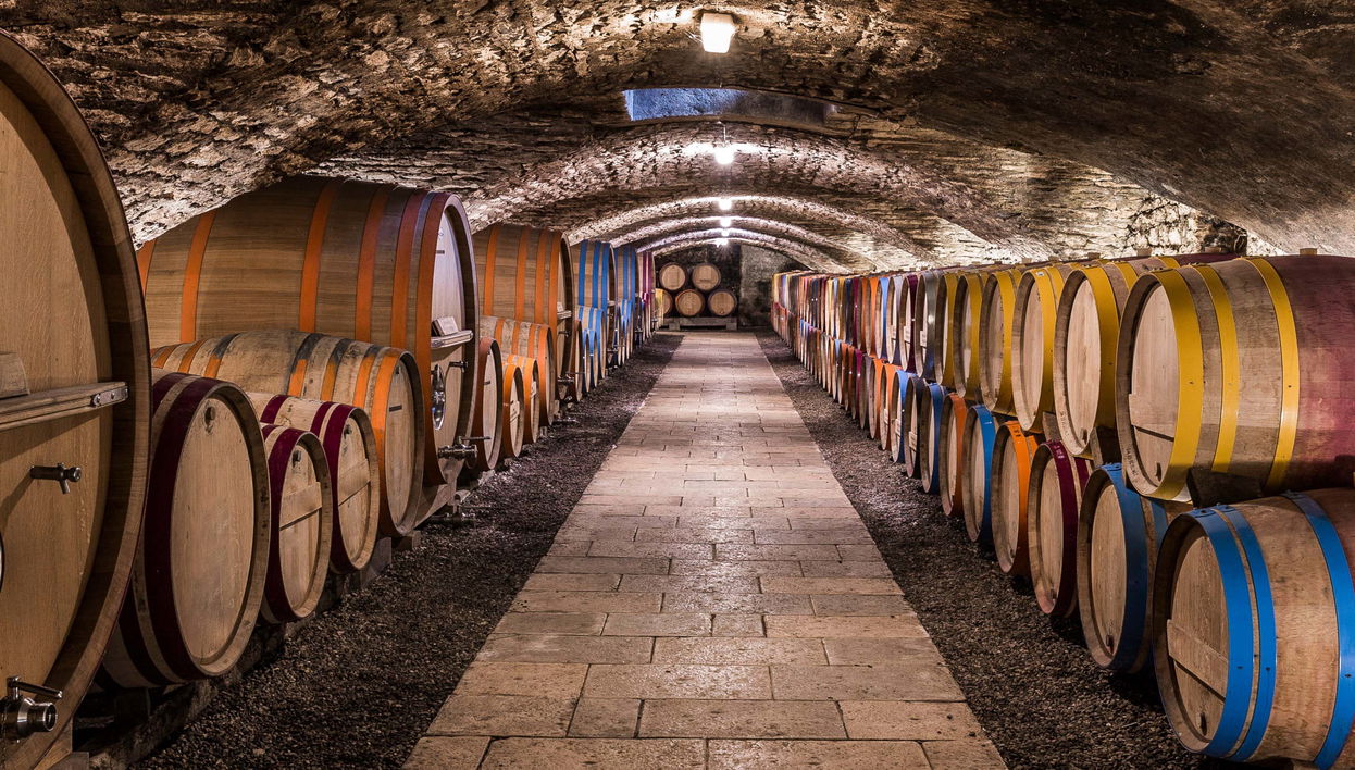 Tour di vigneti e cantine nella Valle del Douro