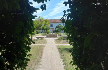 Casa dos Pinheiros - Pinheiros Farm House - Foto 40