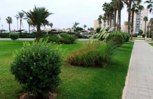 Urbanova Apartment - Photo 29