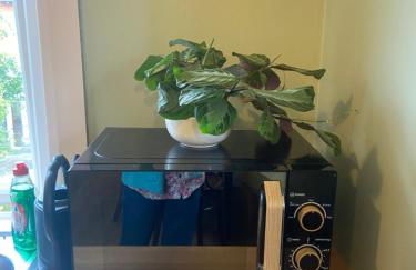 The Blue Door - Photo 17