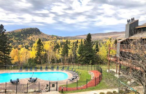 Ski in Ski out 1 Bed plus Loft BEST VIEWS IN LUTSEN - Foto 30