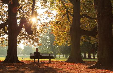 Weitblick Winterberg - Foto 31
