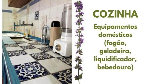 Olinda's Carnival 2025 - Foto 5