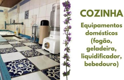 Olinda's Carnival 2025 - Foto 5