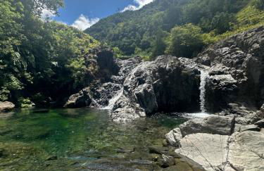 The Green Valley House - Foto 70