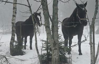 Fewo Kleine Auszeit - Foto 49