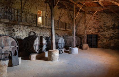 Casa Dr Ramiro Salgado - Douro Superior, Torre de Moncorvo - Foto 33