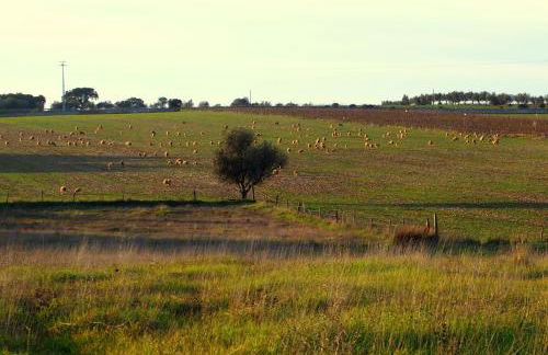 Monte dos Freixos Country House - Foto 26