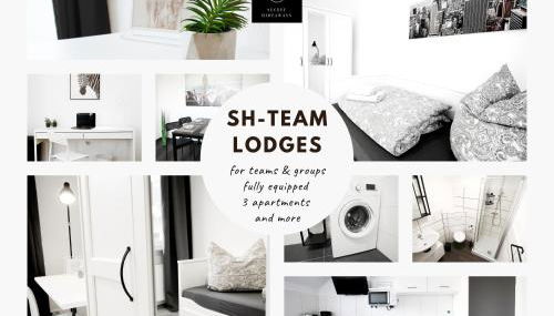 SH Team Lodges 4 Apartments für max 19 Personen l Monteure l Messe l Business - Foto 3