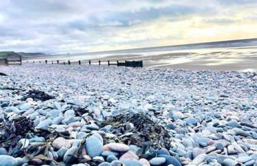 Normsy Place Seaside Serenity Breath Taking Views - Foto 49