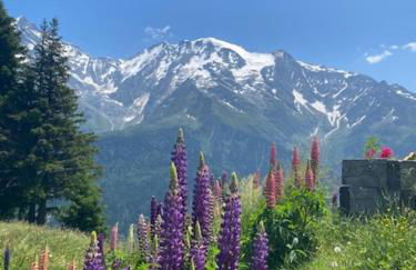 T2 with pool in Saint-Gervais-les-Bains - Foto 28