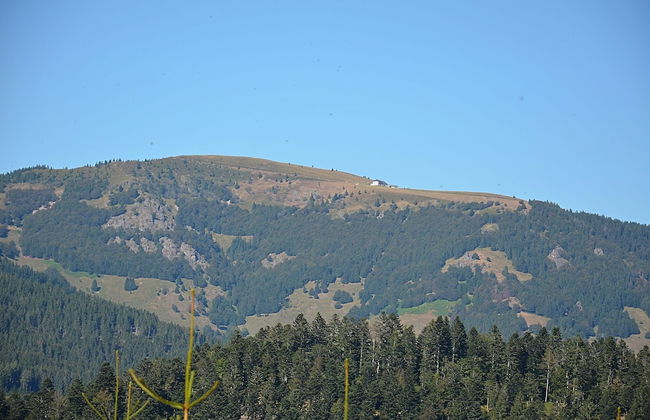 Apartment in Kleines Wiesental - Foto 31