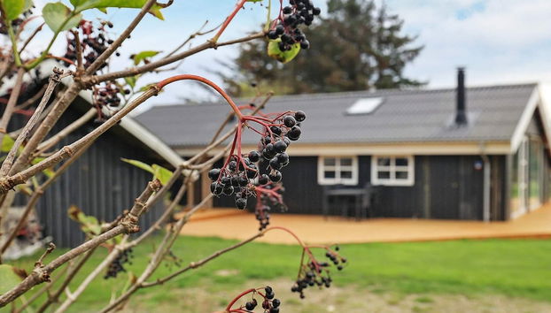 Vistas desde el alojamiento