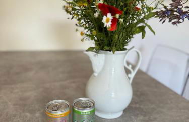 Apartment im Elbtal Dresden, Meißen, Moritzburg - Foto 9