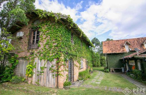 Vieja Hacienda - Photo 5